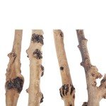 Natural Forest Branch Reptile Decor - 4 Pack