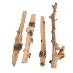 Natural Forest Branch Reptile Decor - 4 Pack