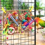 Large Parrot Foraging Wall Grass Mat Toy
