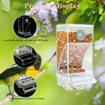 Automatic No-Mess Bird Feeder for Small Birds