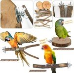 8-Piece Natural Wood Bird Perch Stand Set