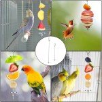 Stainless Steel Bird Food Holder - 2 Pack