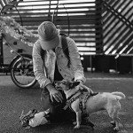 Natural Medium Goat Horn Dog Chew Treat