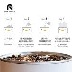 Cat Grass with Chick for Indoor Cats 50g