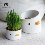 Cat Grass with Chick for Indoor Cats 50g