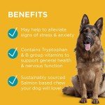 PAW Complete Calm Multivitamins for Anxious Dogs