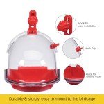 JW Pet Insight Bird Bath - Colorful Accessory