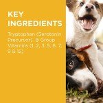 PAW Complete Calm Multivitamins for Anxious Dogs