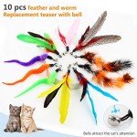 Hianjoo 12-Piece Interactive Feather Cat Toy Set