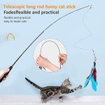 Hianjoo 12-Piece Interactive Feather Cat Toy Set