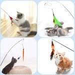Hianjoo 12-Piece Interactive Feather Cat Toy Set