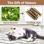 Catnip Chew Sticks - 4 Pack for Cats