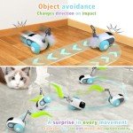 Remote Control Interactive Cat Toy with Turbo Tail