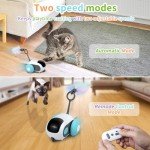 Remote Control Interactive Cat Toy with Turbo Tail