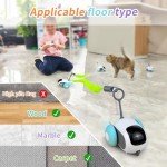 Remote Control Interactive Cat Toy with Turbo Tail