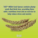 Millet Spray for Birds - 150g Bird Treat