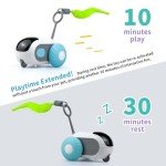 Remote Control Interactive Cat Toy with Turbo Tail