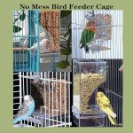 Automatic No-Mess Bird Feeder for Small Birds