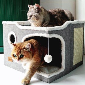Cozy Foldable Cat Bed and Hideaway House