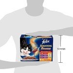 FELIX Sensations Meat Selection Wet Cat Food 60x85g