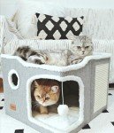 Cozy Foldable Cat Bed and Hideaway House