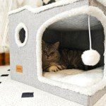 Cozy Foldable Cat Bed and Hideaway House