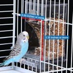 Automatic No-Mess Bird Feeder for Small Birds