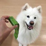 Cherry Blossom Scented Dog Waste Bags with Handles