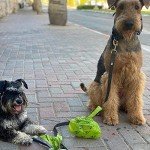 Cherry Blossom Scented Dog Waste Bags with Handles