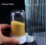 Yamibobo Automatic Bird Feeder & Water Dispenser