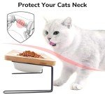 Elevated Ceramic Cat Bowls with Bamboo Stand