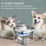 LKUWEE 2L Stainless Steel Pet Water Fountain