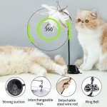 5-Pack Interactive Feather Cat Toy Set