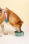 Portable Collapsible Silicone Dog Bowls with Clips