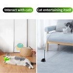 5-Pack Interactive Feather Cat Toy Set