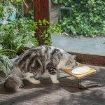 Elevated Ceramic Cat Bowls with Bamboo Stand