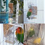 Automatic No Mess Bird Cage Feeder for Parrots