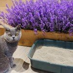 POOWEE! Lavender Cat & Kitten Clumping Litter, 7.5kg
