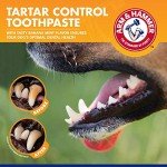 Arm & Hammer Dog Dental Care Kit - 3 Pieces