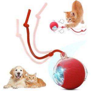 Interactive USB Rechargeable Chase Ball Toy for Pets
