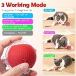 Interactive USB Rechargeable Chase Ball Toy for Pets