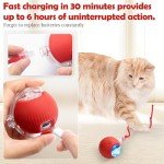 Interactive USB Rechargeable Chase Ball Toy for Pets