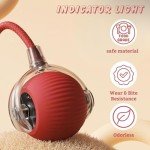 Interactive USB Rechargeable Chase Ball Toy for Pets