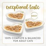 Fancy Feast Gravy Lovers Wet Cat Food 24-Pack