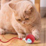 Interactive USB Rechargeable Chase Ball Toy for Pets