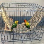 Seagrass Hammock for Birds with Climbing Ropes