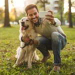 Extra-Large Ear Wipes for Dogs and Cats