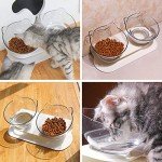 Luck Dawn Double Elevated Cat Bowls with Stand