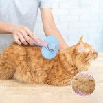 Self-Cleaning Cat Brush for Shedding and Grooming