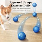 Interactive Automatic Dog Ball Toy, USB Rechargeable